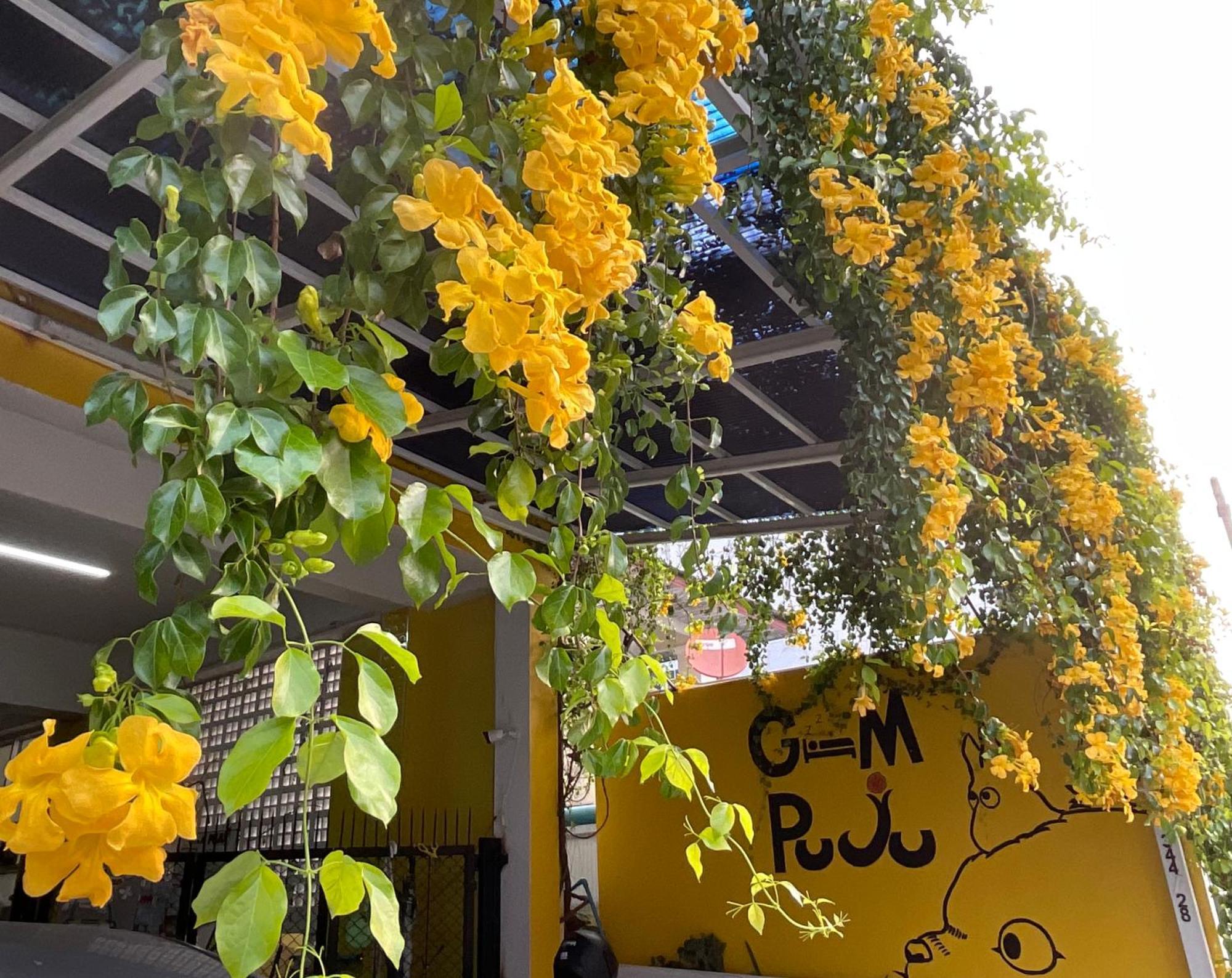 ホテル Gumpuju คำปู้จู้ チエンマイ エクステリア 写真
